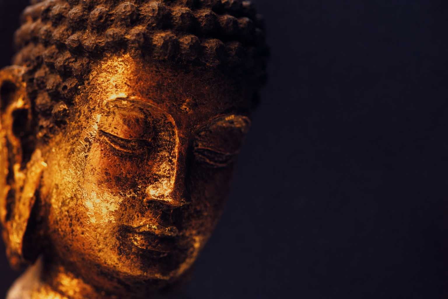 Golden Buddha statue with lotus flowers